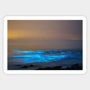 Bioluminescent plankton, Port Eynon Bay, Gower Sticker